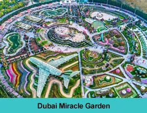 Dubai miracle garden